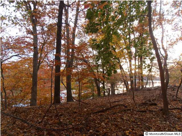 25 Beaver Dam Road Colts Neck, NJ 07722 - Photo 7 of 15 a big yard with lots of trees