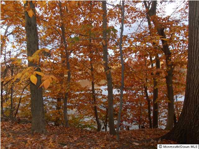 25 Beaver Dam Road Colts Neck, NJ 07722 - Photo 8 of 15 a picture of tree