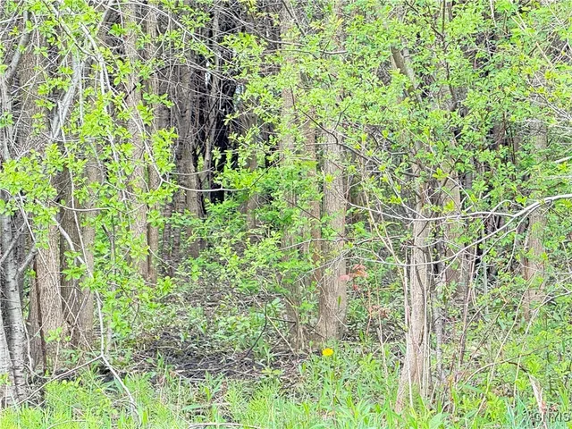 $48,000 | 0 Klocks Corners Road, Oswego, NY 13126