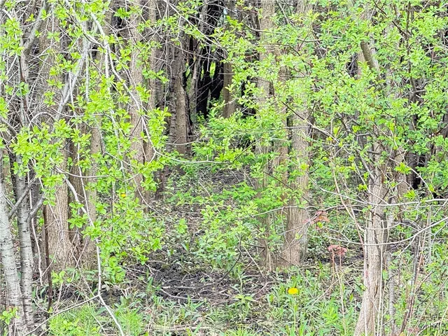 $48,000 | 0 Klocks Corners Road, Oswego, NY 13126