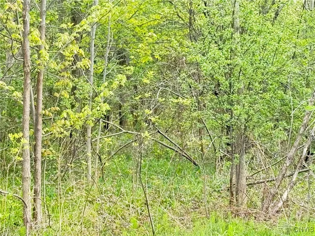 $48,000 | 0 Klocks Corners Road, Oswego, NY 13126