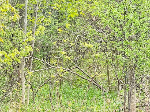 $48,000 | 0 Klocks Corners Road, Oswego, NY 13126