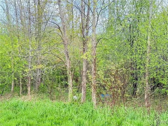 $48,000 | 0 Klocks Corners Road, Oswego, NY 13126