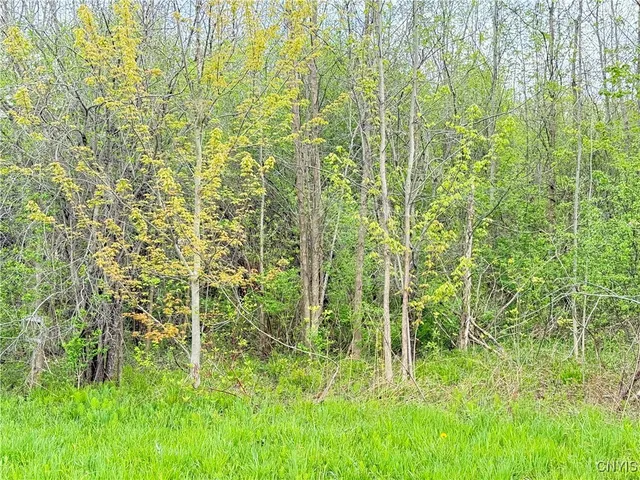 $48,000 | 0 Klocks Corners Road, Oswego, NY 13126