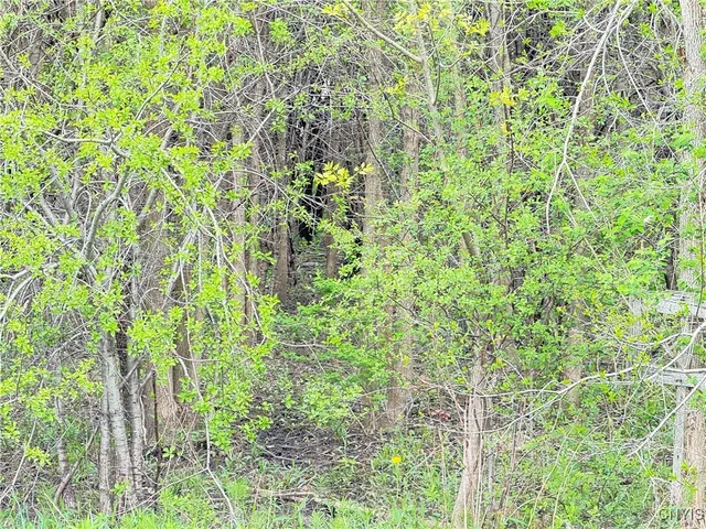 $48,000 | 0 Klocks Corners Road, Oswego, NY 13126