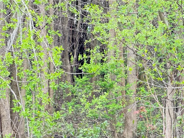 $48,000 | 0 Klocks Corners Road, Oswego, NY 13126