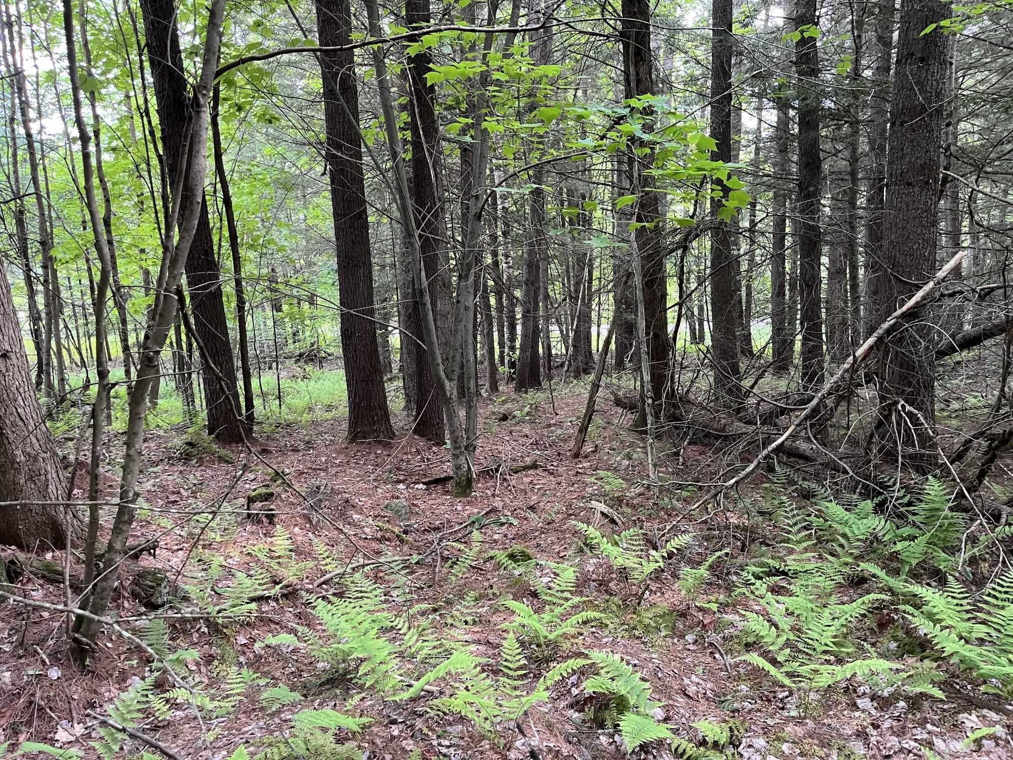 31 River Road Bath, NH 03740 - Photo 22 of 26