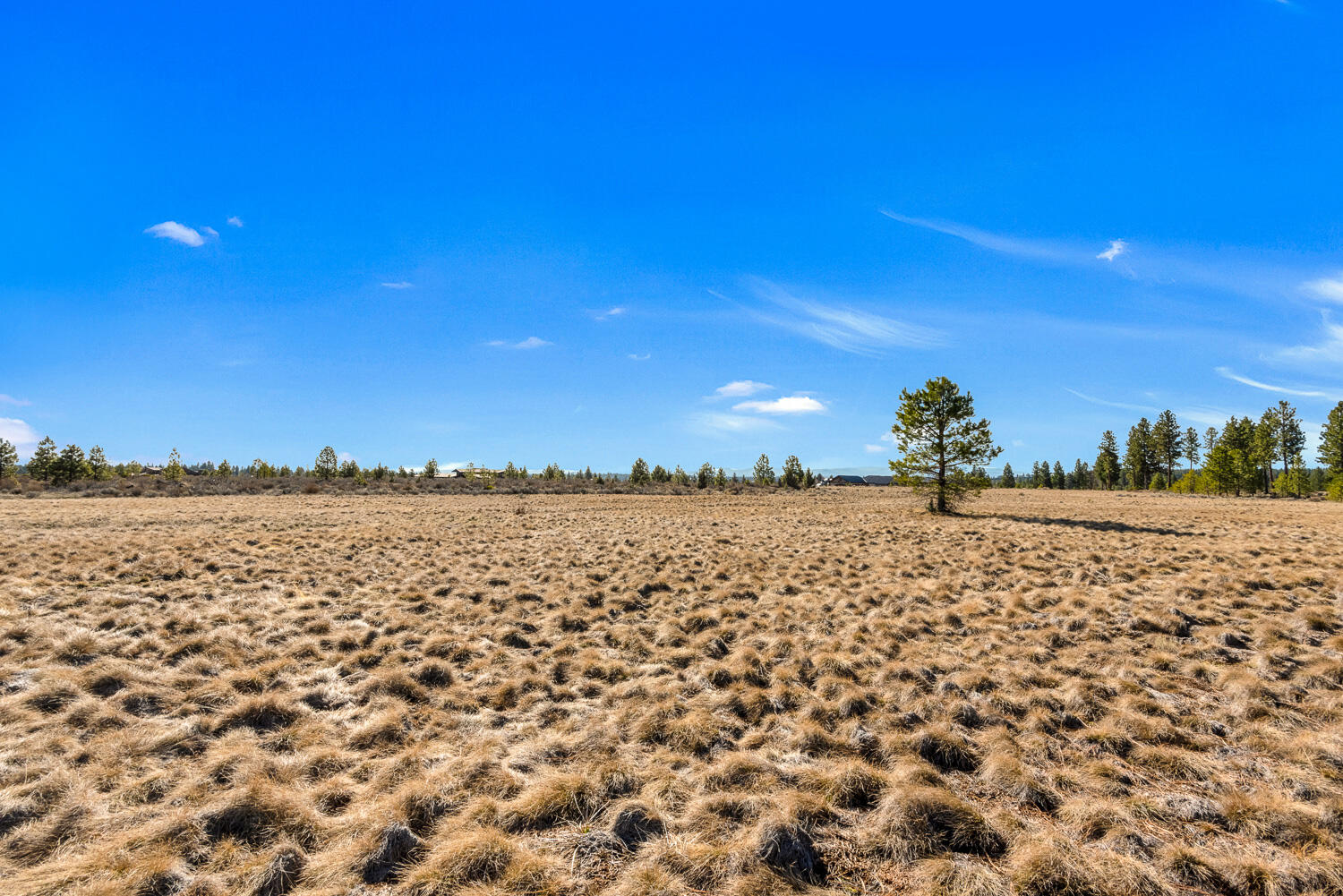 18945 Macalpine Loop Bend, OR 97702 - Photo 6 of 25 OReilly_20240402_3_295867_72ppi
