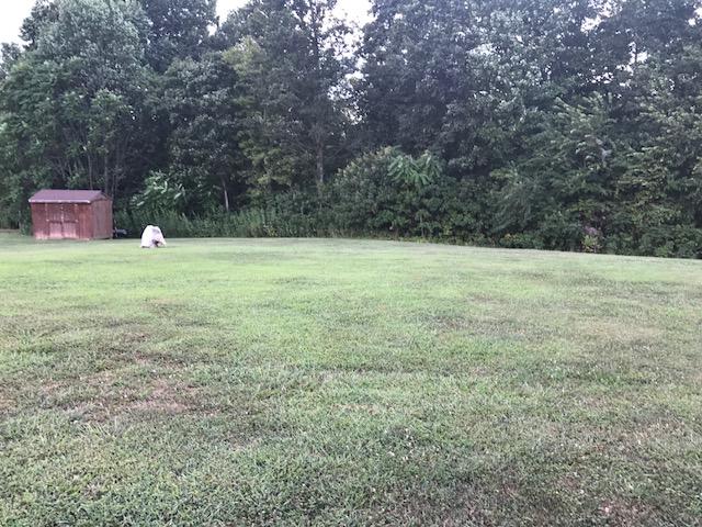 1213 Navigation Point Goodview, VA 24095 - Photo 14 of 30 a view of outdoor space and yard