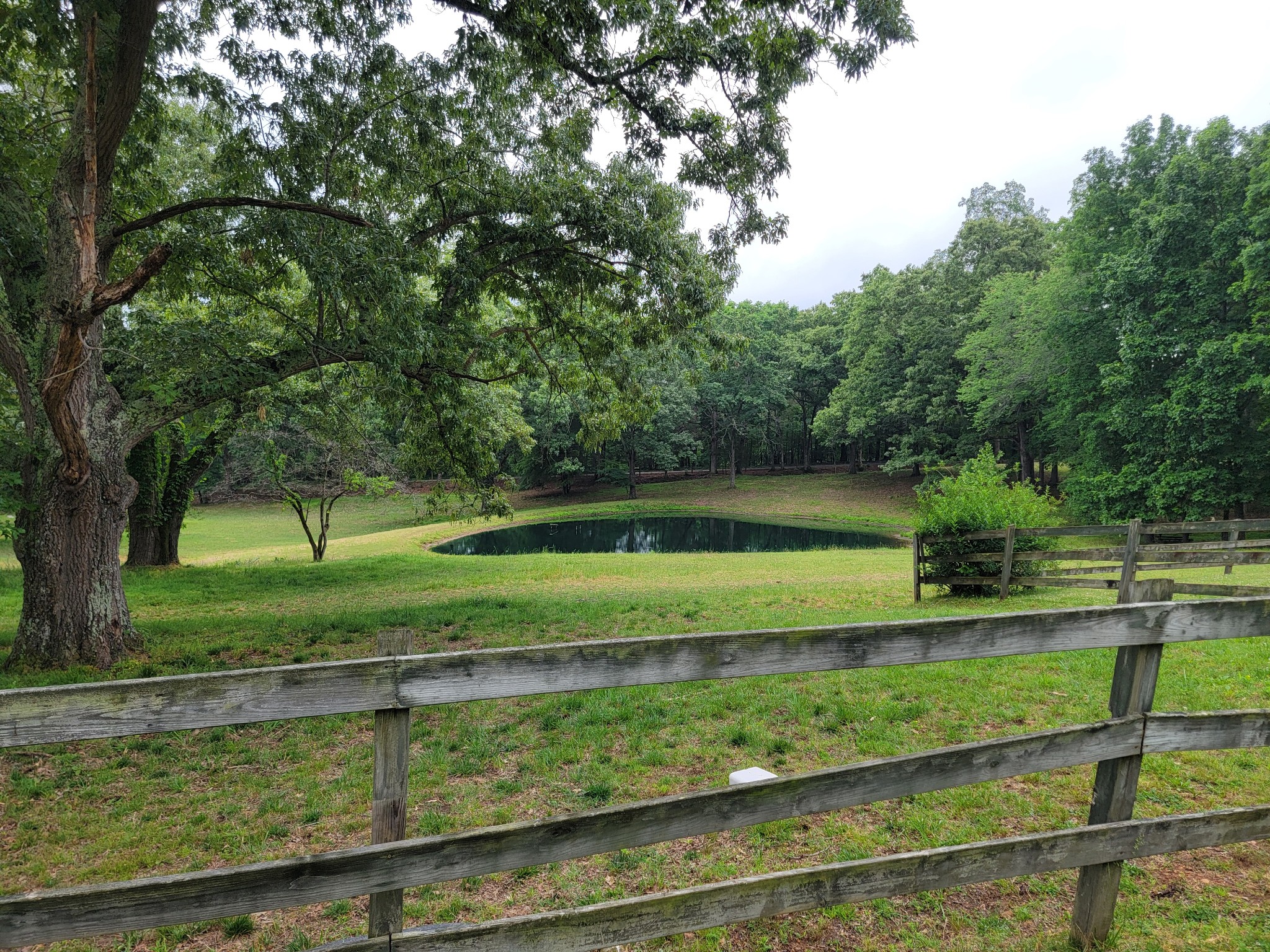 1089 Jim Clark Road Erin, TN 37061 - Photo 36 of 71