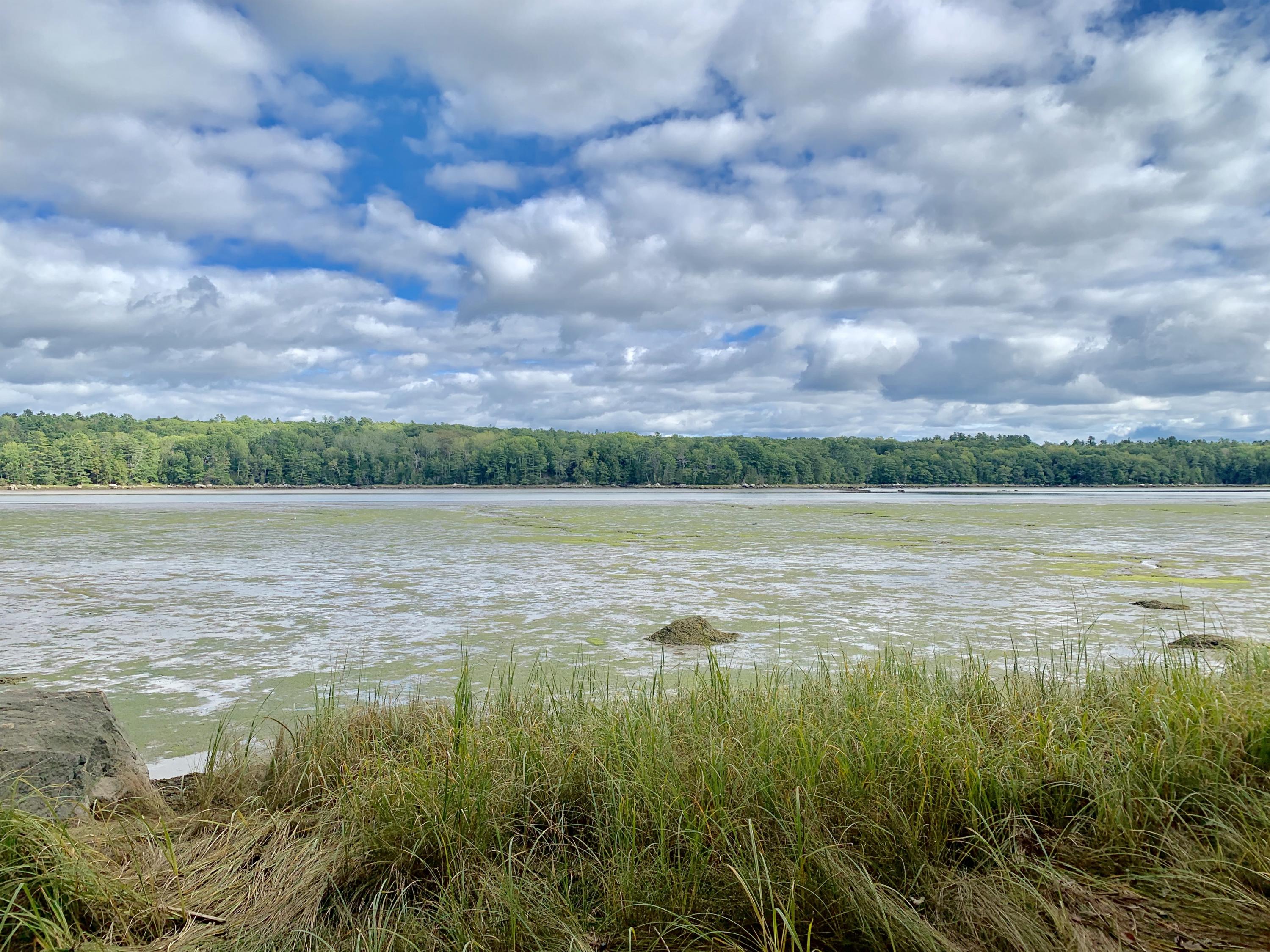 0 Leaches Point Road Orland, ME 04472 - Photo 15 of 23 20190912_191527333_iOS