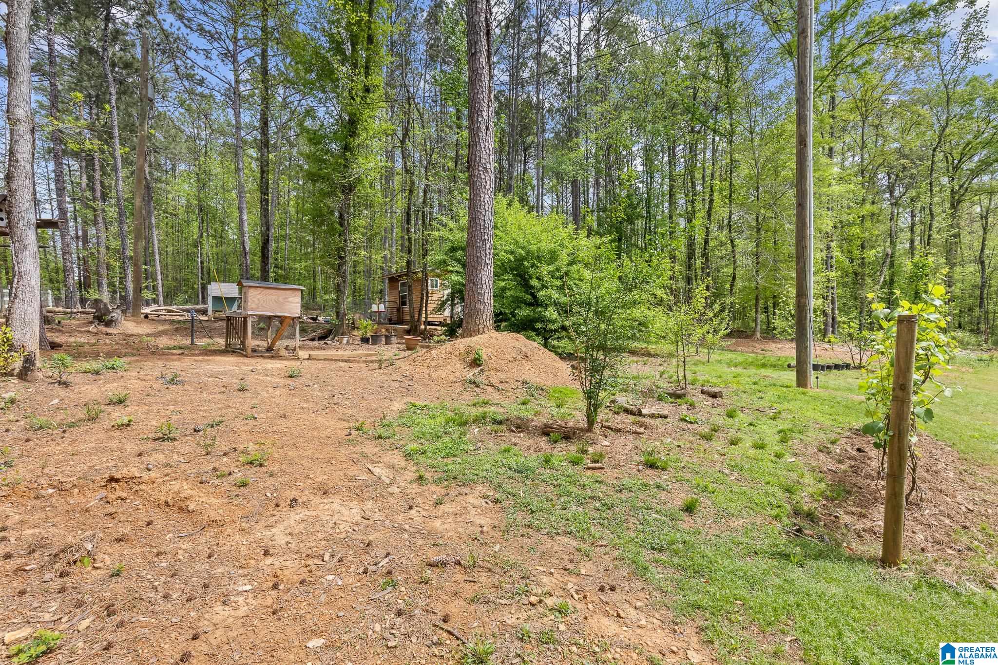 10936 Bear Creek Road Sterrett, AL 35147 - Photo 49 of 58
