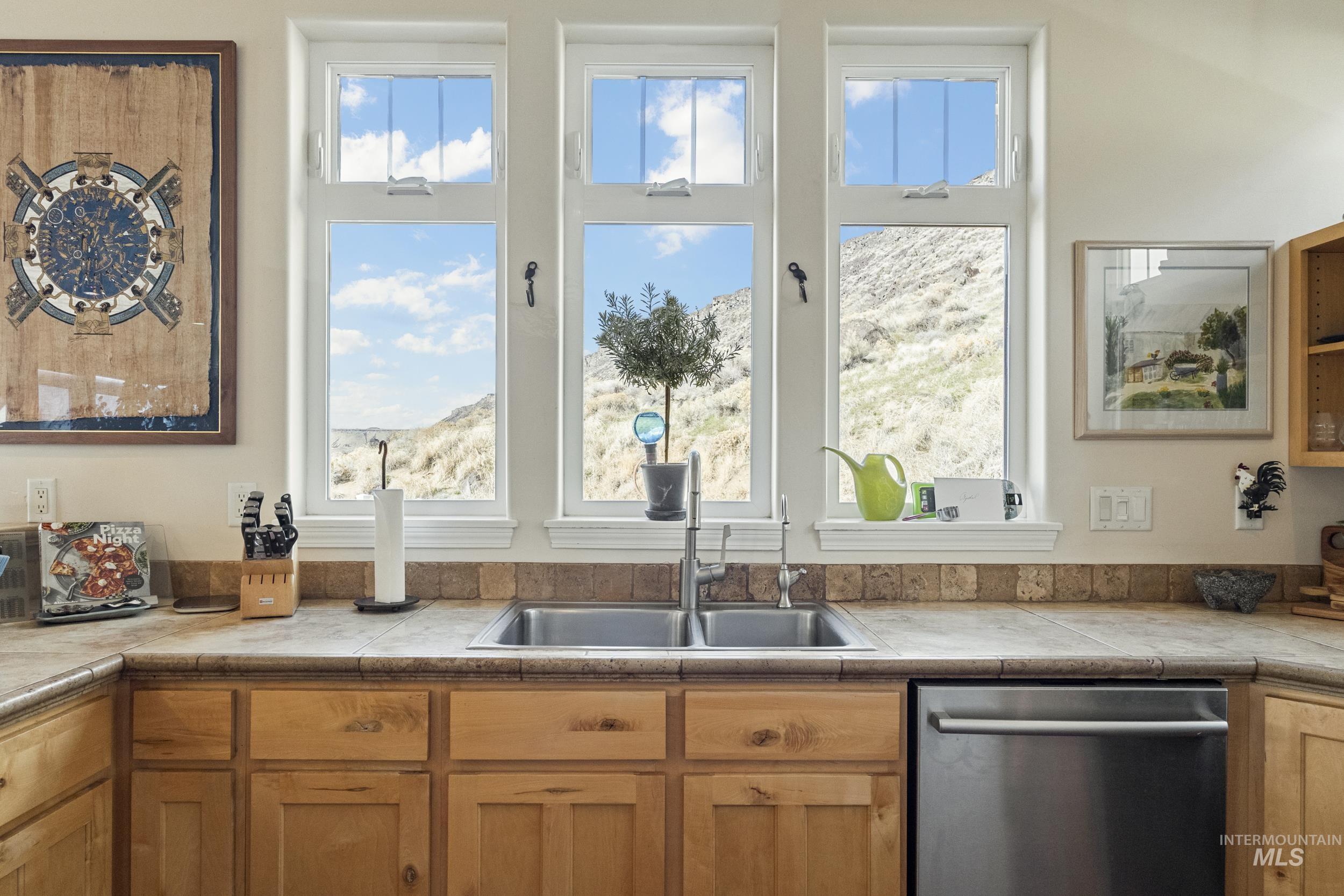 382 River Road Bliss, ID 83314 - Photo 9 of 46 Kitchen featuring stainless steel dishwasher, light countertops, and plenty of natural light