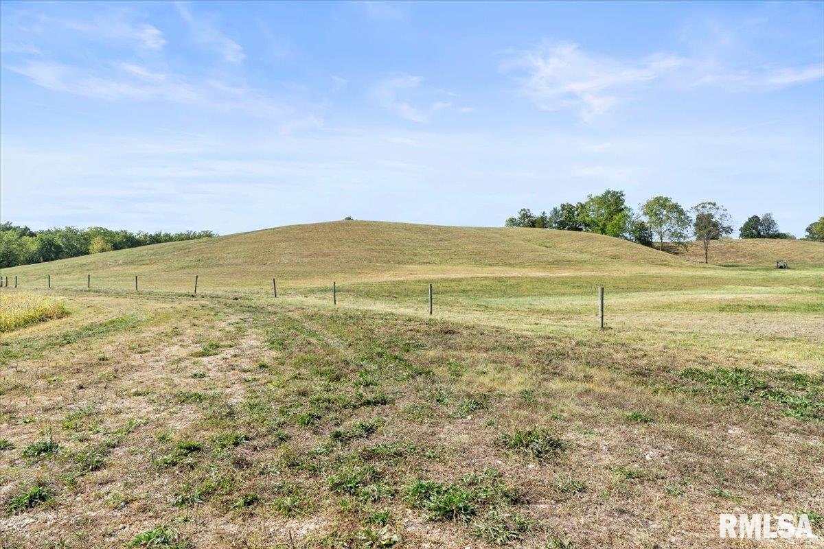 27919 Quarton Road Palmyra, IL 62674 - Photo 44 of 73