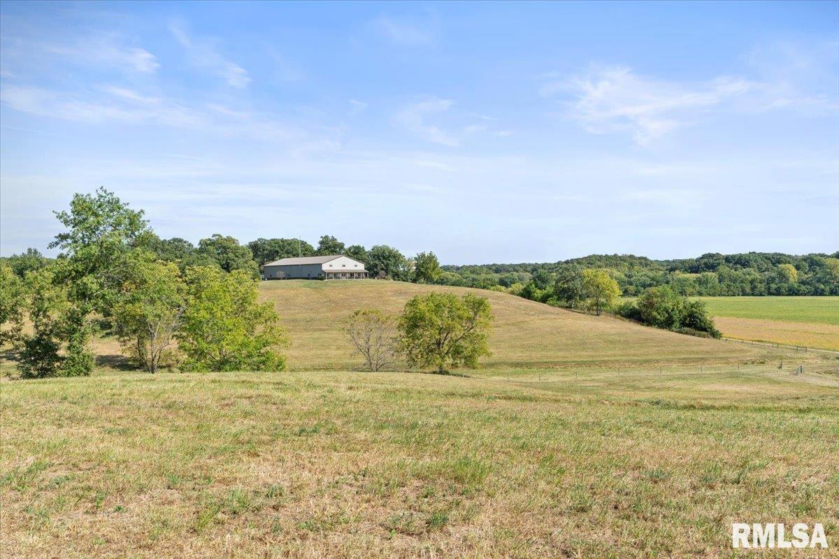 27919 Quarton Road Palmyra, IL 62674 - Photo 45 of 73