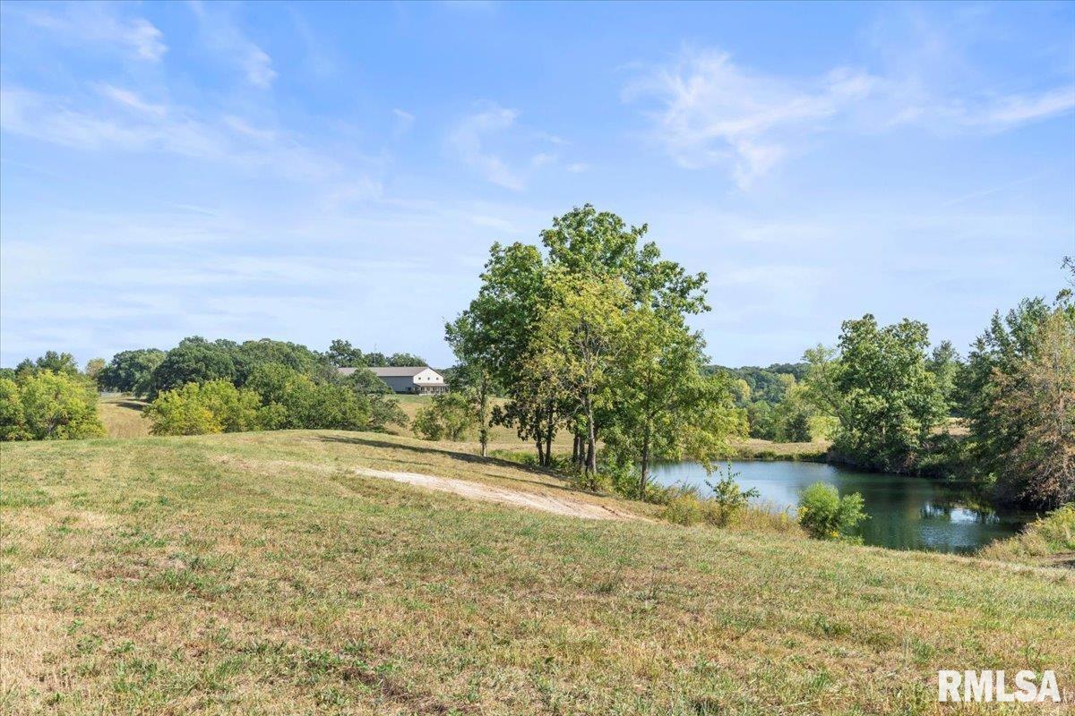 27919 Quarton Road Palmyra, IL 62674 - Photo 47 of 73