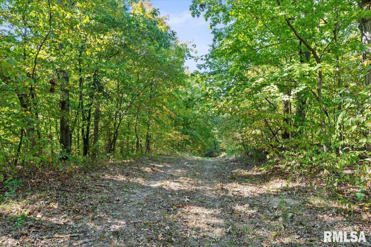 27919 Quarton Road Palmyra, IL 62674 - Photo 57 of 73