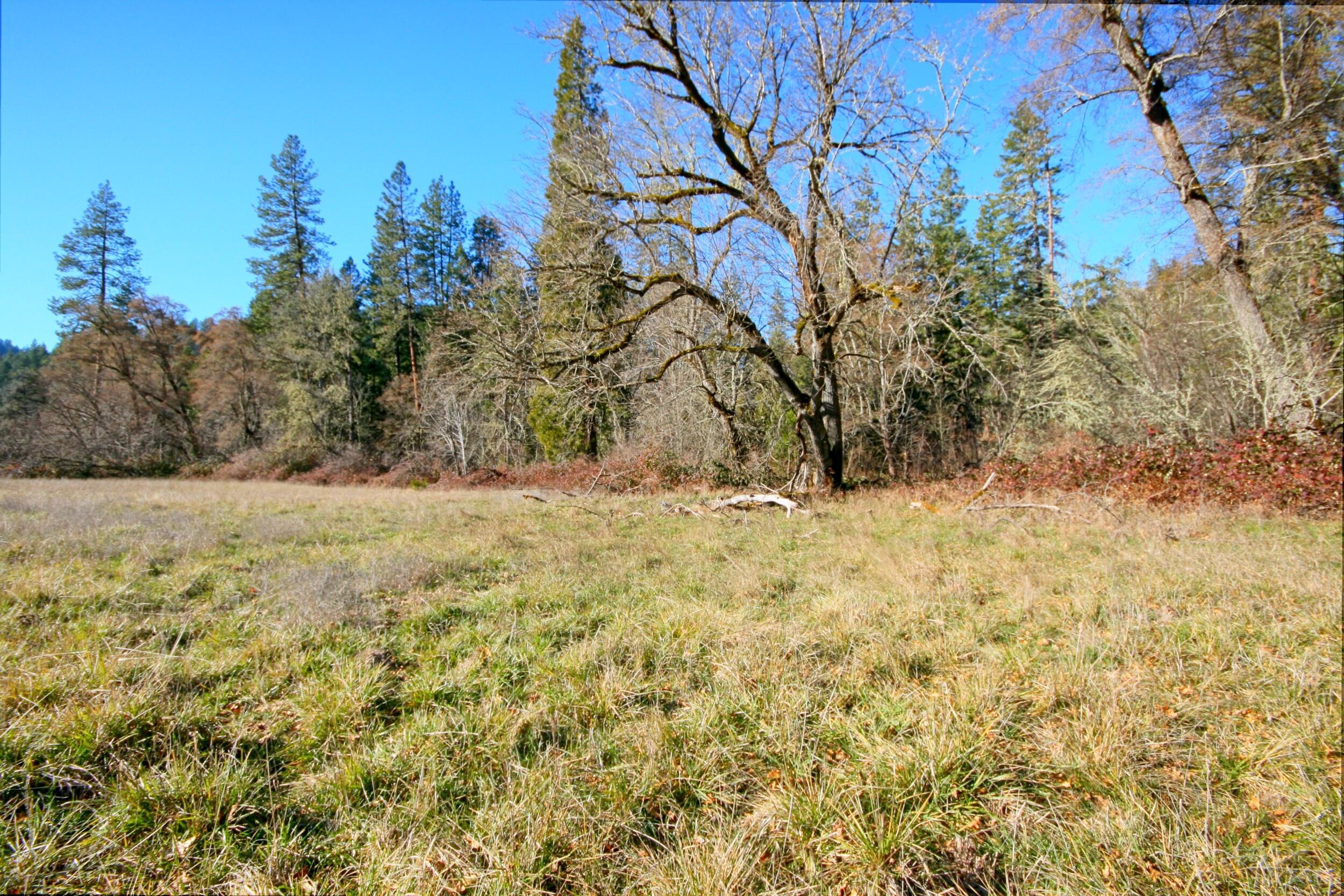 5000 Thompson Creek Road Jacksonville, OR 97530 - Photo 10 of 70 IMG_8896_7_8_easyHDR