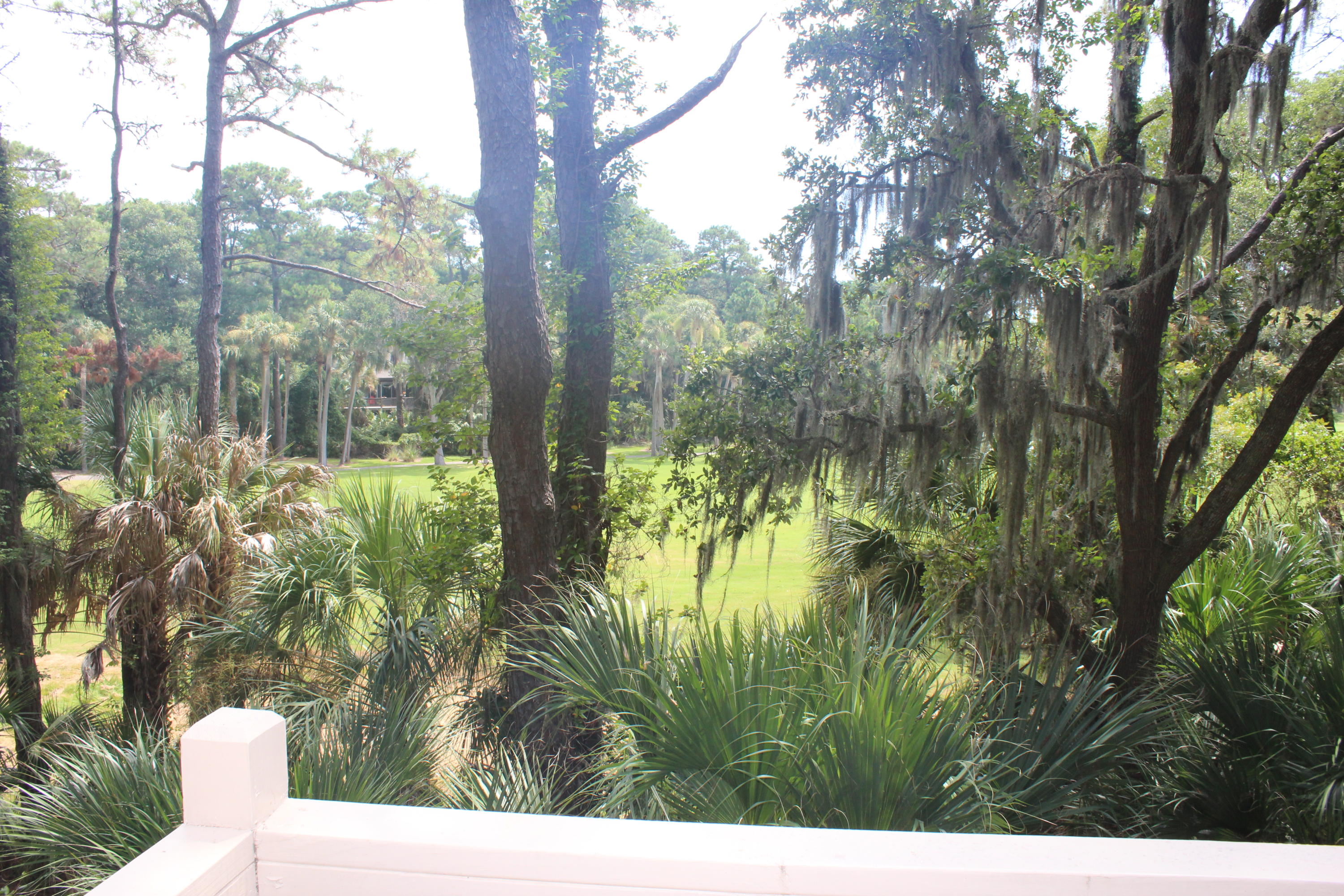 828 Club Cottage Road Edisto Beach, SC 29438 - Photo 17 of 19 IMG_0575