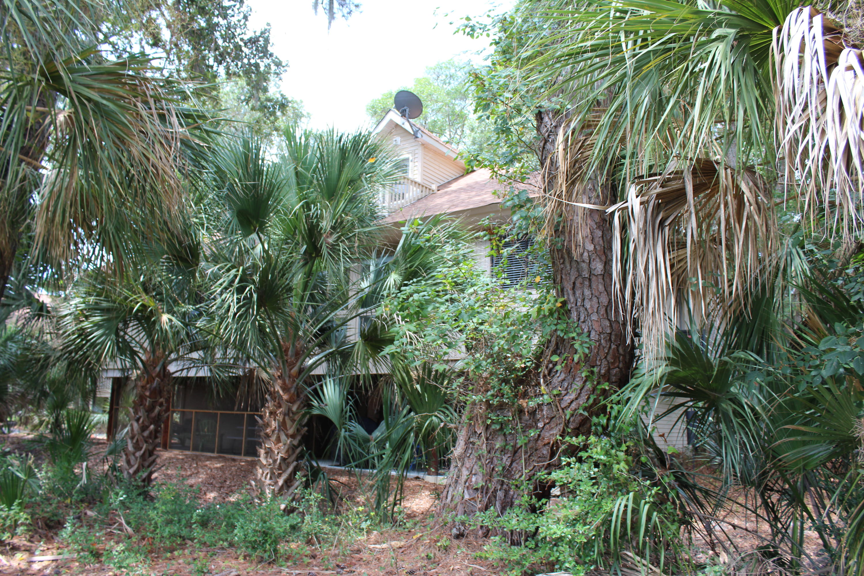 828 Club Cottage Road Edisto Beach, SC 29438 - Photo 18 of 19 IMG_0590
