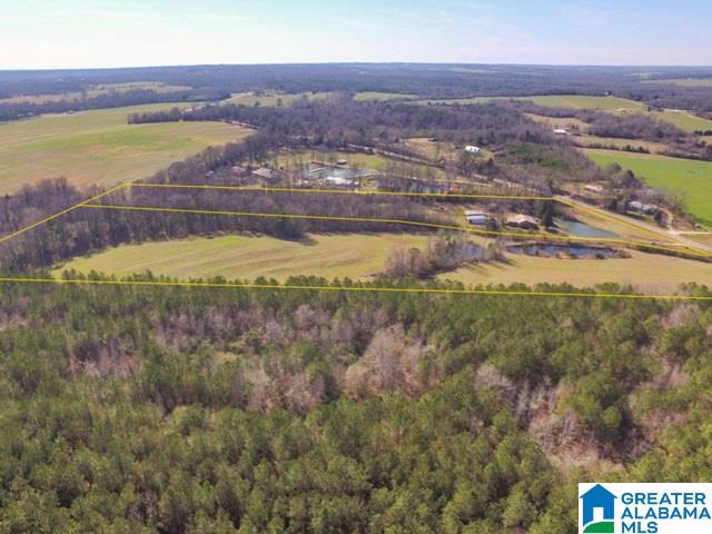 7550 County Road 59 Verbena, AL 36091 - Photo 35 of 41