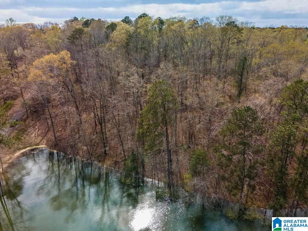 Smith Lake Dam Road Jasper, AL 35504 - Photo 11 of 15