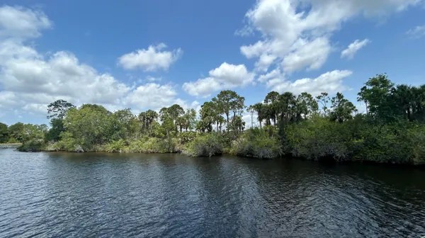 a view of a lake in middle of forest
