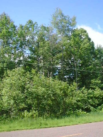 Xxx Lavaque Junction Road Hermantown, MN 55811 - Photo 1 of 3 Gallery Image 1