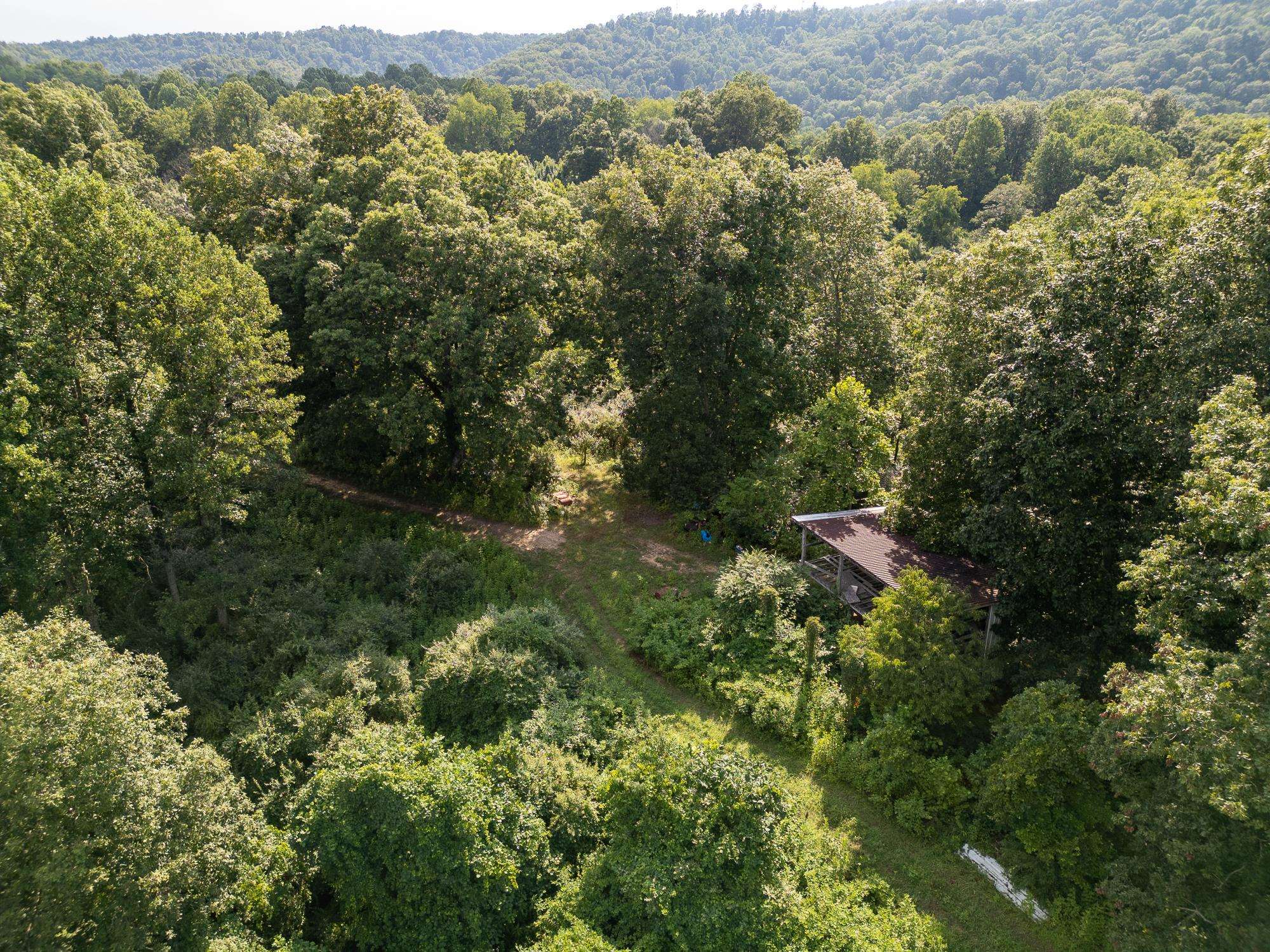 40 2 Mile Road Branchland, WV 25506 - Photo 6 of 28 Gallery Image 6