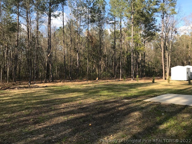 3331 Thrower Road Hope Mills, NC 28348 - Photo 24 of 25 a swimming pool with trees in the background