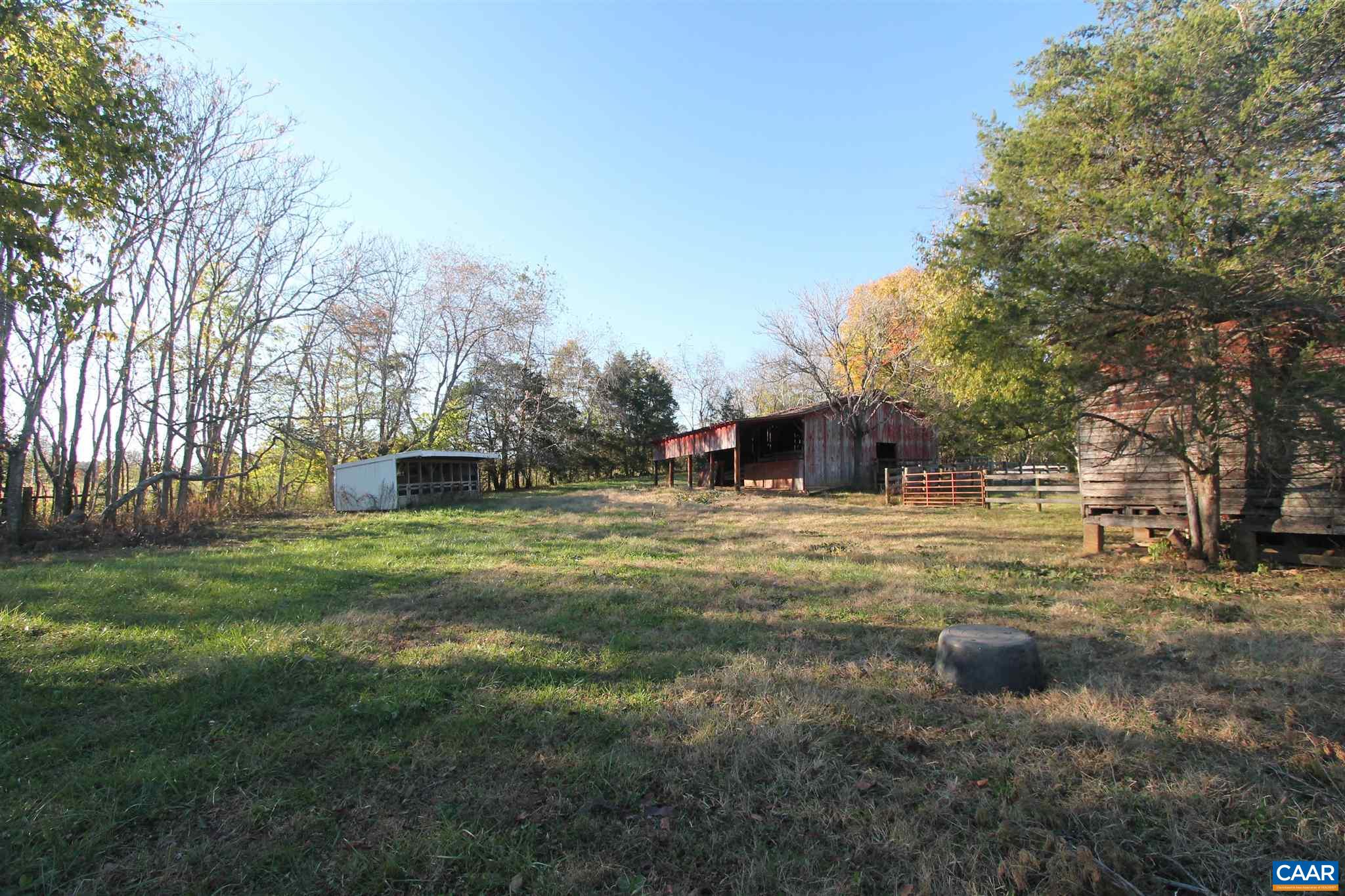 355 Gibbs Road Madison, VA 22727 - Photo 28 of 33 a view of a yard with plants and trees