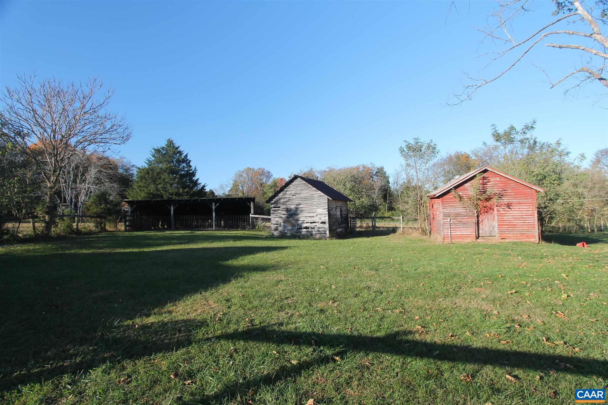 355 Gibbs Road Madison, VA 22727 - Photo 33 of 33 a view of a big yard with potted plants and large tree