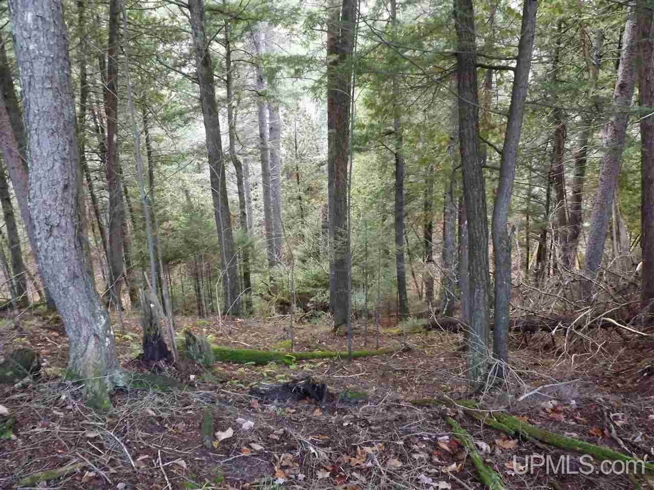 Tbd Yellow Road, Unit 277 & 298 Pelkie, MI 49952 - Photo 6 of 10