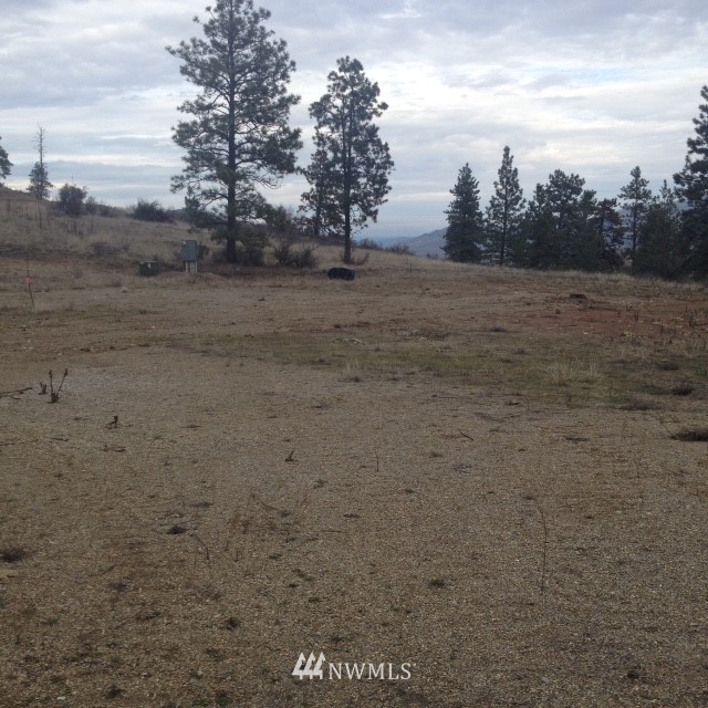0 Lake Bluff Road Tonasket, WA 98855 - Photo 1 of 11 Gallery Image 1