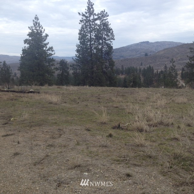 0 Lake Bluff Road Tonasket, WA 98855 - Photo 2 of 11 Gallery Image 2