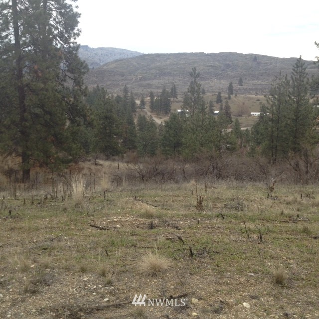 0 Lake Bluff Road Tonasket, WA 98855 - Photo 8 of 11 Gallery Image 8