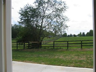 520 Raven Road Versailles, KY 40383 - Photo 12 of 16 View from the back door leading to the p