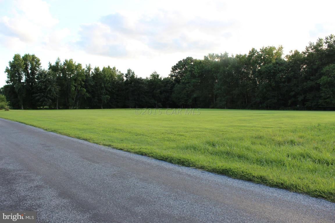 a view of a field with a small yard