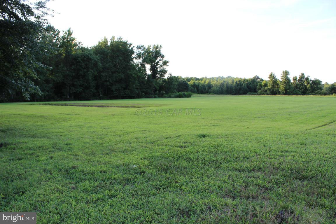Jesterville Road Bivalve, MD 21814 - Photo 3 of 16 a view of field and trees in the background