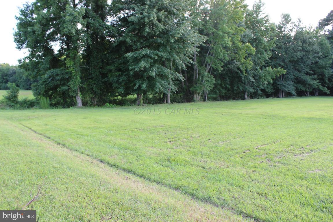 Jesterville Road Bivalve, MD 21814 - Photo 4 of 16 a view of field with trees in the background