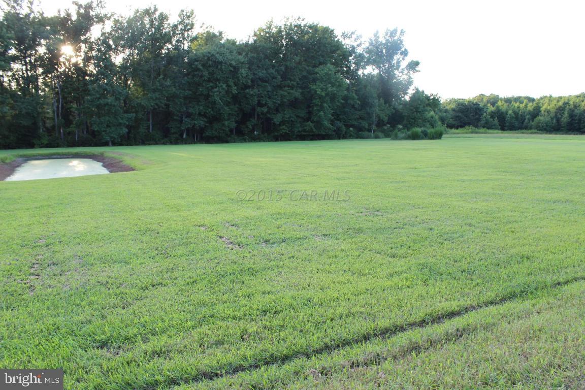 Jesterville Road Bivalve, MD 21814 - Photo 6 of 16 a view of a field with a trees in the background