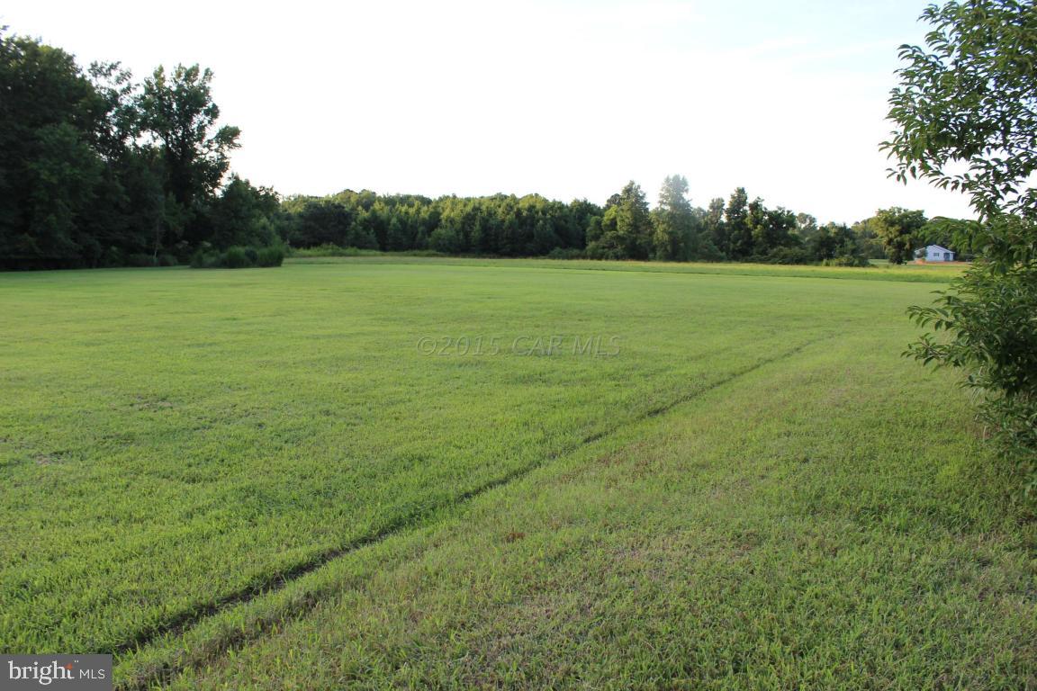 Jesterville Road Bivalve, MD 21814 - Photo 7 of 16 a view of a field with trees in background