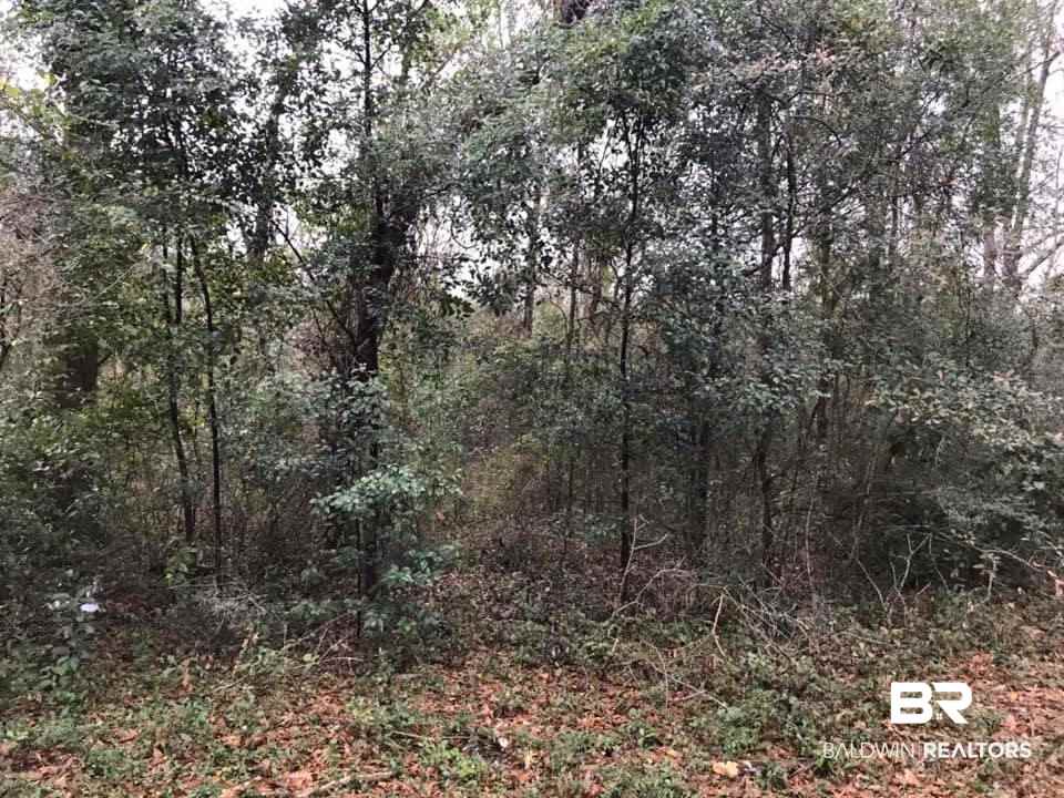 0 Hilliard Jenkins Road Loxley, AL 36551 - Photo 2 of 4