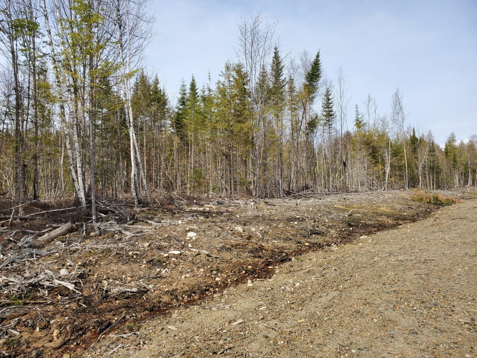 Lot 2-3 Bottle Lake Road Springfield, ME 04487 - Photo 5 of 6 20200505_144520