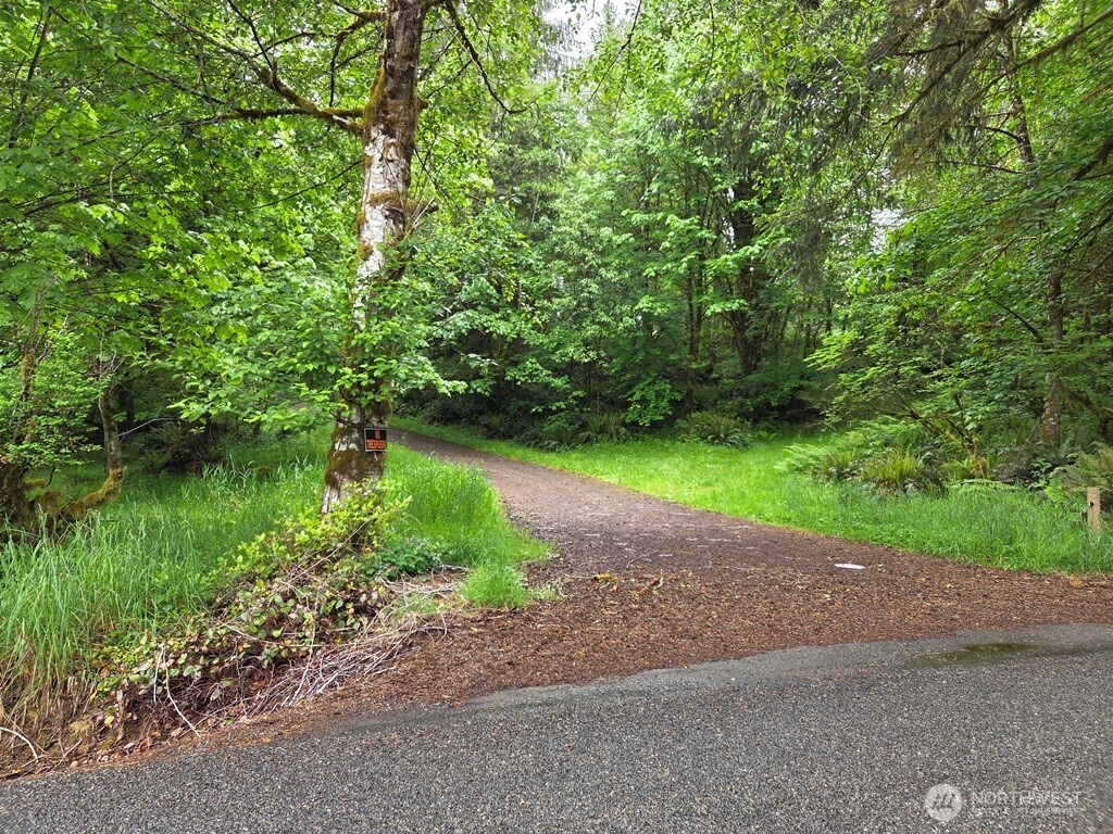 674 Mill Creek Road Longview, WA 98632 - Photo 1 of 8 a view of a lake with a yard