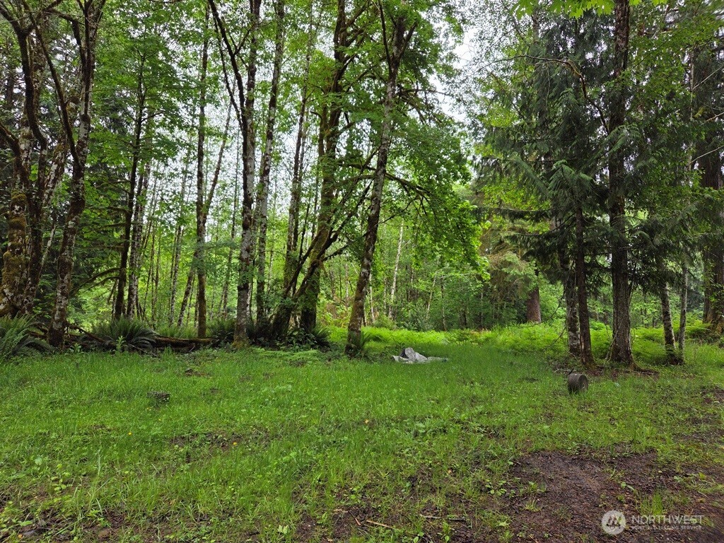 674 Mill Creek Road Longview, WA 98632 - Photo 4 of 8 a view of a grassy field with trees