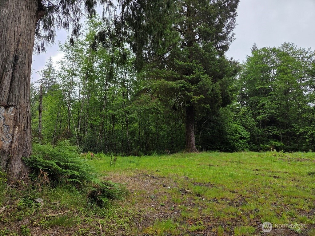 674 Mill Creek Road Longview, WA 98632 - Photo 5 of 8 a view of a field with trees in the background