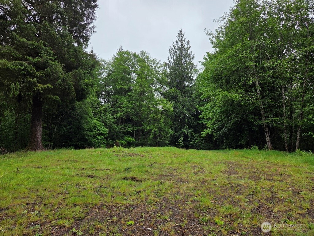 674 Mill Creek Road Longview, WA 98632 - Photo 6 of 8 a view of green field with trees in the background