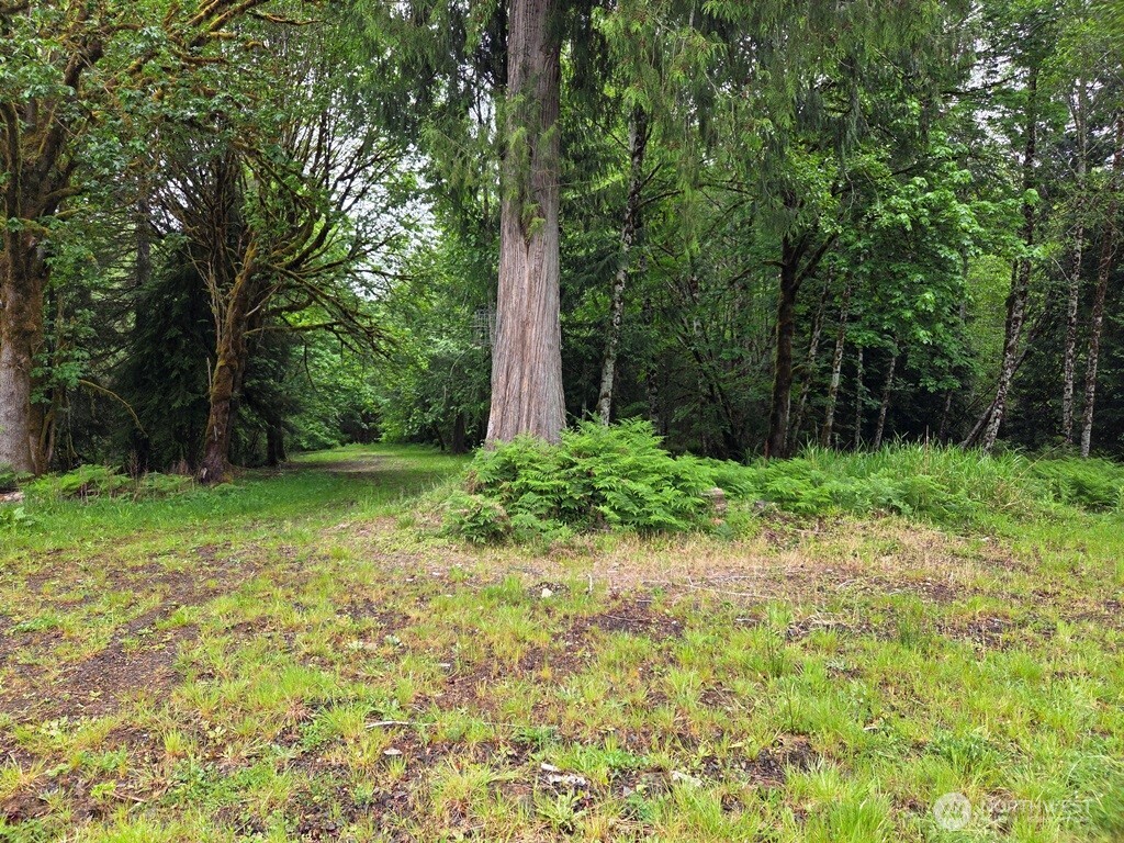 674 Mill Creek Road Longview, WA 98632 - Photo 7 of 8 a view of a yard with a tree