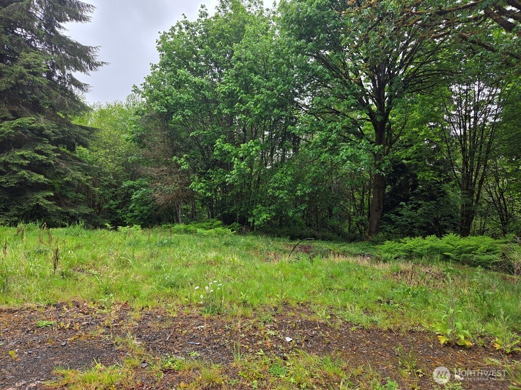 674 Mill Creek Road Longview, WA 98632 - Photo 8 of 8 a view of backyard with green space